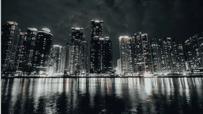 相思树电视剧 - 城市之光：霓虹背后的人间烟火